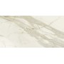 Elite Calacatta Nat 600x1200 1° Scelta (Opaco)