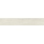 RAGNO CERAMICHE WOODPASSION ICE 15X90