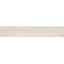 WOODLIVING ROVERE GHIACCIO RETTIFICATO 20X120