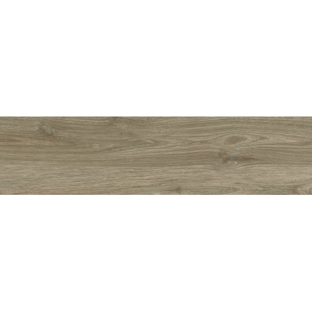 PLANET NOCE 30X120 Rektifizierte