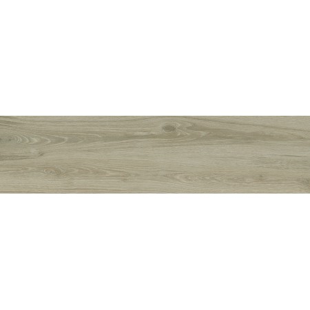 PLANET ROVERE 30X120 Rektifizierte