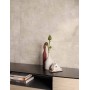FIND ASH 60X120 Rektifizierte