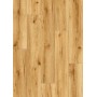 copy of Spc Colore Rovere Gold 1800x181x6,5mm