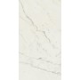 MARVEL CALACATTA EXTRA 60X120 MATT