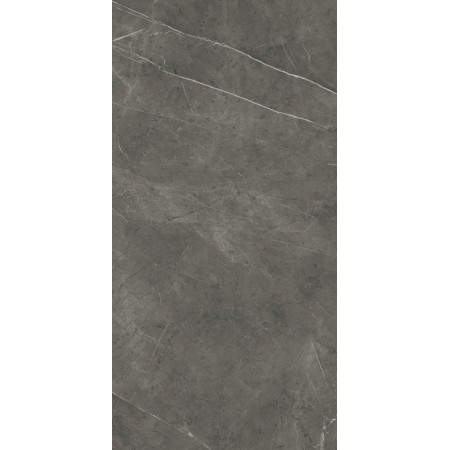 MARVEL GREY STONE 60X120 MATT