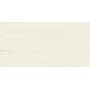 MARVEL STONE BIANCO DOLOMITE 60X120 LAPPATO