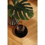 Fertigparkett Eiche Adagio Chevron A, LIVE Natural Oil, Gebürstet