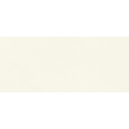 BOOST COLOR PURE FROG MATT 50X120 Rektifizierte