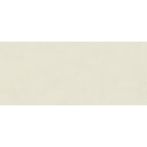 BOOST COLOR SALIX MATT 50X120 Rektifizierte