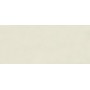 BOOST COLOR SALIX MATT 50X120 Rektifizierte
