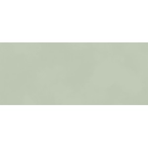 BOOST COLOR MINT MATT 50X120 Rektifizierte