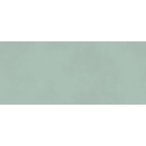 BOOST COLOR JADE MATT 50X120 Rektifizierte