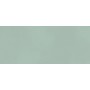 BOOST COLOR JADE MATT 50X120 Rektifizierte