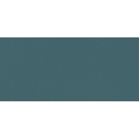 BOOST COLOR NAVY FROG MATT 50X120 Rektifizierte