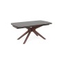 AUSZIEHBARER TISCH MARITTA NUSSBAUM GRAU 170/250X90