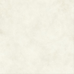 BOOST EXPRESSION GLOW MATT 120X120 Rektifizierte