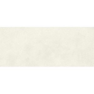 BOOST EXPRESSION GRAIN GLOW 50X120 Rektifizierte