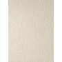 BOOST EXPRESSION GRAIN SHELL 50X120 Rektifizierte