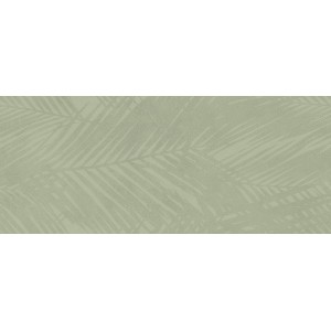 BOOST EXPRESSION OLIVE LIFE 50X120 Rektifizierte