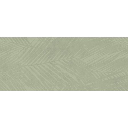 BOOST EXPRESSION OLIVE LIFE 50X120 Rektifizierte