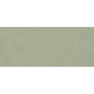 BOOST EXPRESSION OLIVE MATT 50X120 Rektifizierte