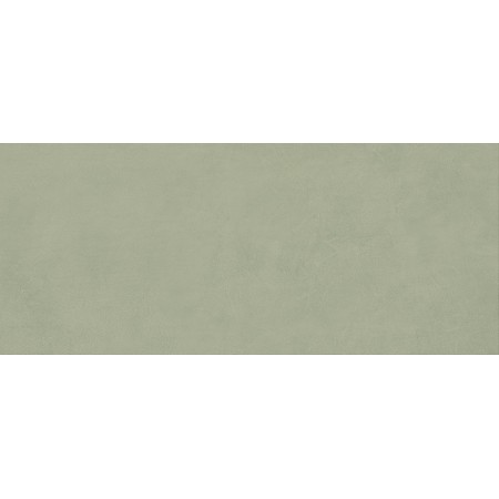 BOOST EXPRESSION OLIVE MATT 50X120 Rektifizierte
