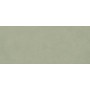BOOST EXPRESSION OLIVE MATT 50X120 Rektifizierte