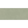 BOOST EXPRESSION OLIVE MATT 50X120 Rektifizierte