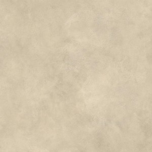 BOOST EXPRESSION TAN GRIP 120X120 Rektifizierte