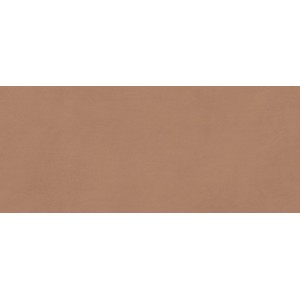 BOOST EXPRESSION SIENNA MATT 50X120 Rektifizierte