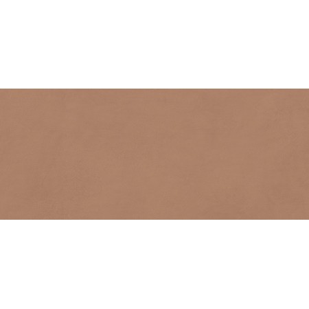 BOOST EXPRESSION SIENNA MATT 50X120 Rektifizierte