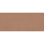 BOOST EXPRESSION SIENNA MATT 50X120 Rektifizierte