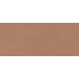 BOOST EXPRESSION SIENNA MATT 50X120 Rektifizierte