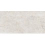 BOLD SILVERY NATURALE 60X120 Rektifizierte