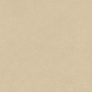 BOOST NATURAL PRO SAND GRIP 120X120 Rektifizierte