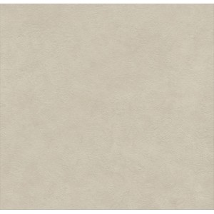 BOOST NATURAL PRO CINDER 60X60 Rektifizierte 2CM
