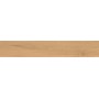 ENTICE PALE OAK NATURAL 20x120 Rektifizierte