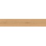 ENTICE PALE OAK NATURAL 20x120 Rektifizierte