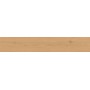 ENTICE PALE OAK NATURAL 20x120 Rektifizierte