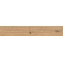 LOG ICON OAK 20X120 MATT Rektifizierte