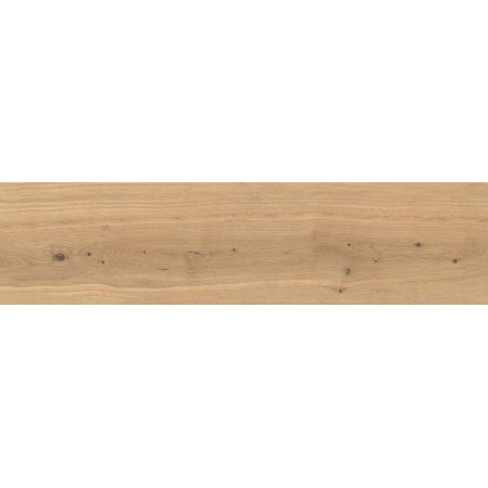 LOG ICON OAK FOREST OUTDOOR 30X120 MATT Rektifizierte 20MM