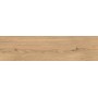 LOG ICON OAK FOREST OUTDOOR 30X120 MATT Rektifizierte 20MM