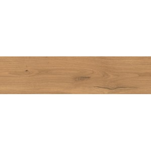 LOG AMBER OAK FOREST OUTDOOR 30X120 MATT Rektifizierte 20MM