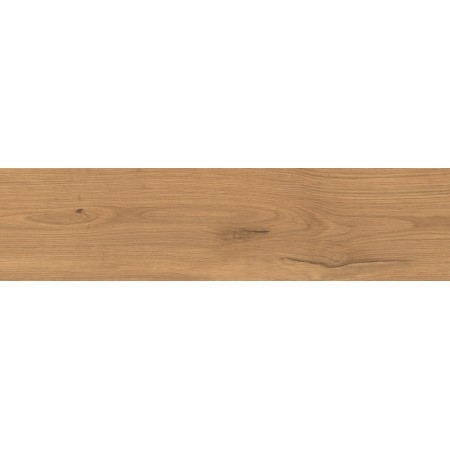 LOG AMBER OAK FOREST OUTDOOR 30X120 MATT Rektifizierte 20MM
