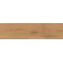 LOG AMBER OAK FOREST OUTDOOR 30X120 MATT Rektifizierte 20MM
