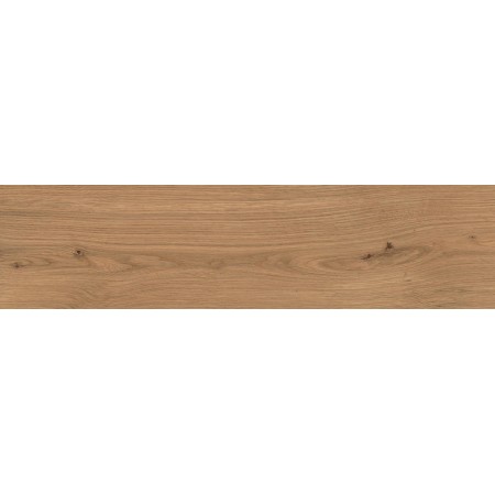 LOG DEEP OAK FOREST OUTDOOR 30X120 MATT Rektifizierte 20MM