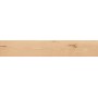 LOG CANSEI RIALTO 20X120 Rektifizierte