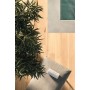 LOG CANSEI MURANO GRIP 20X120 Rektifizierte