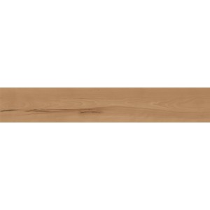LOG CANSEI FENICE 20X120 Rektifizierte