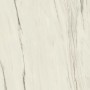MARVEL DREAM BIANCO FANTASTICO MATT 120X120